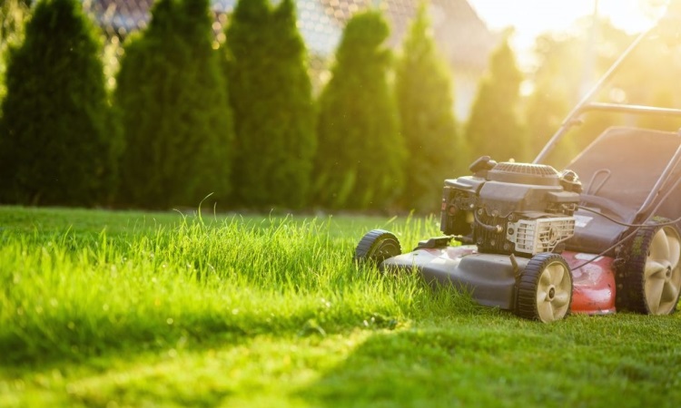 What Is There to Know About Mowing the Lawn?